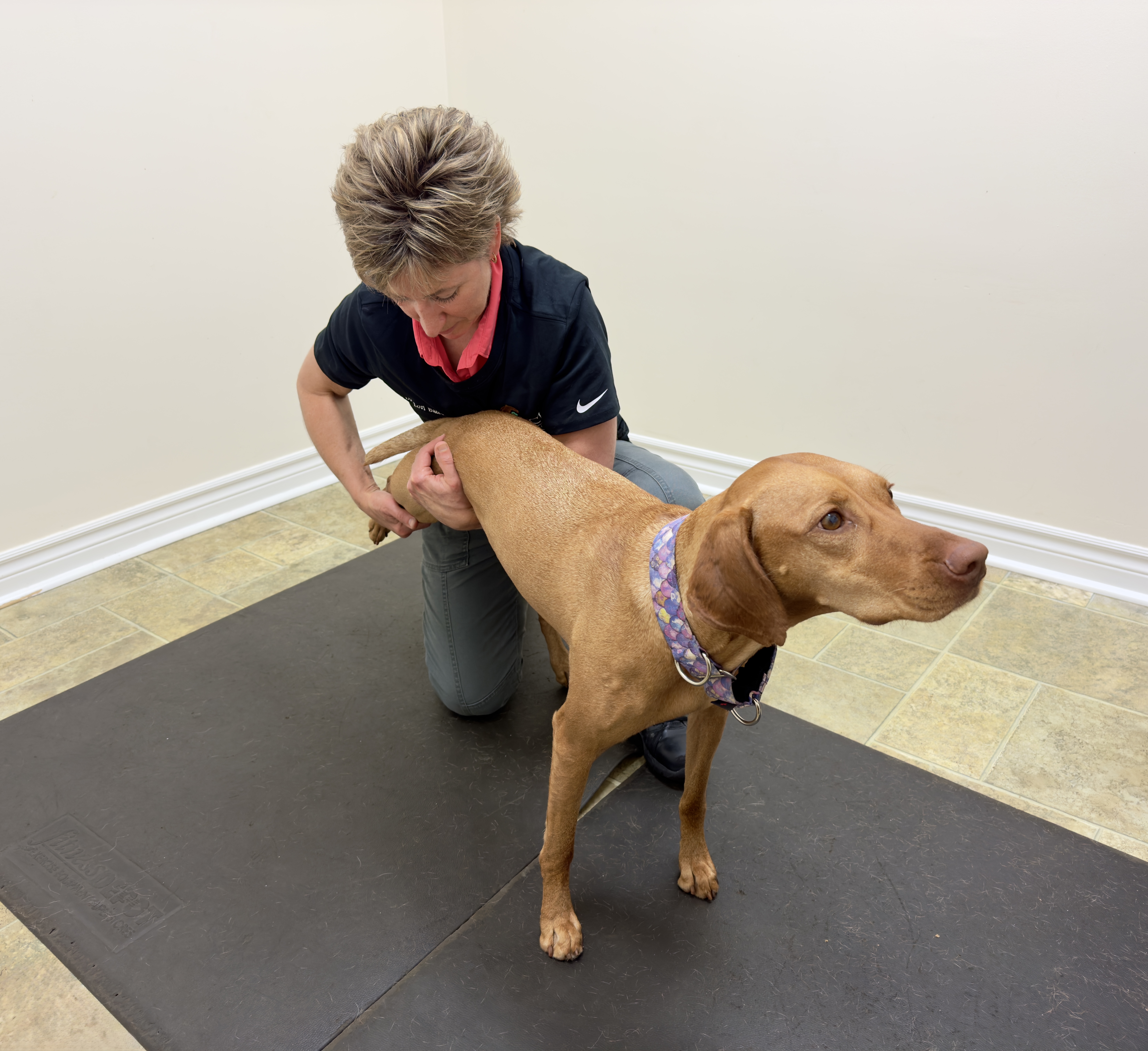 Dr Lori and Edie